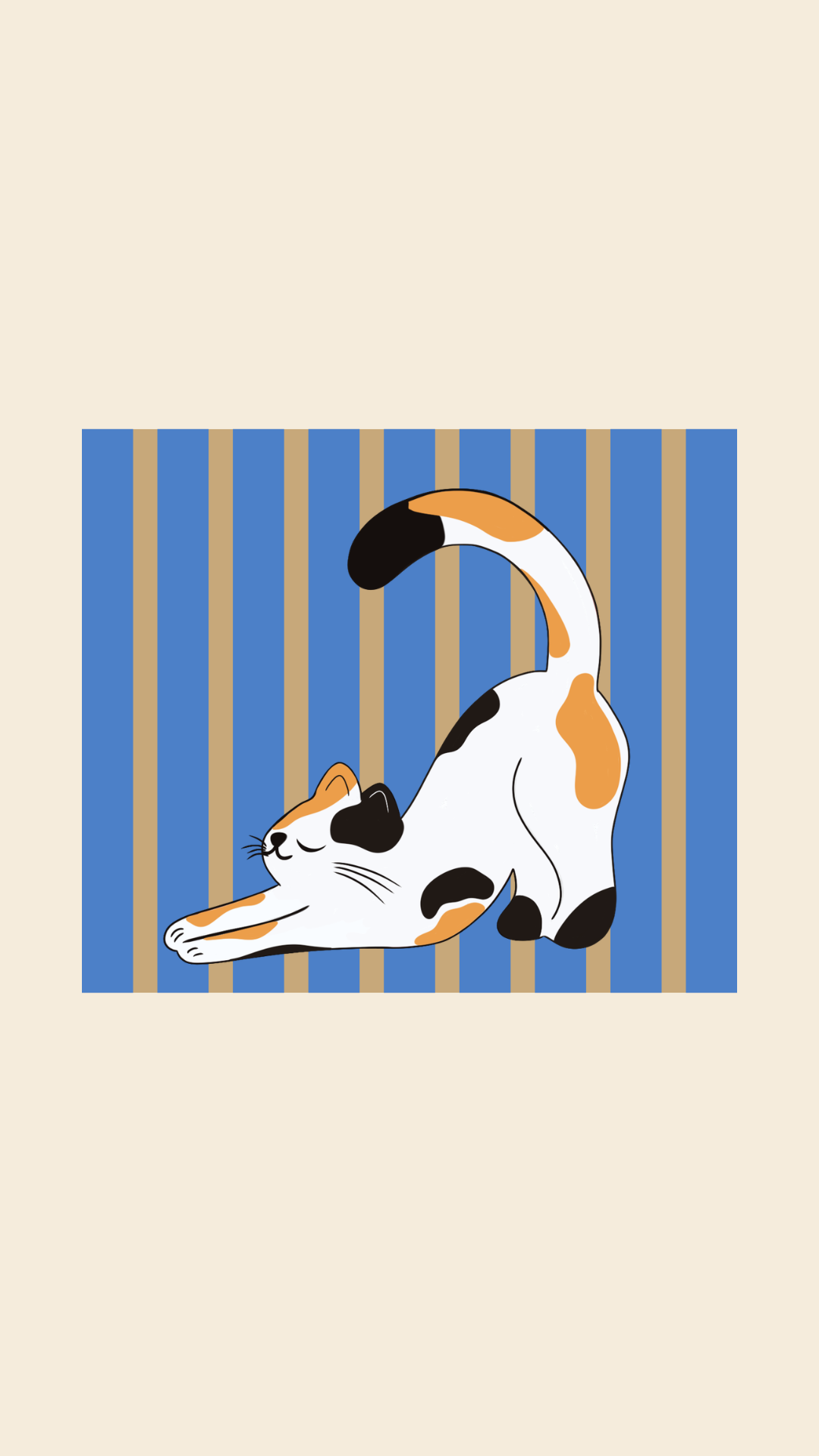 Calico cat 1