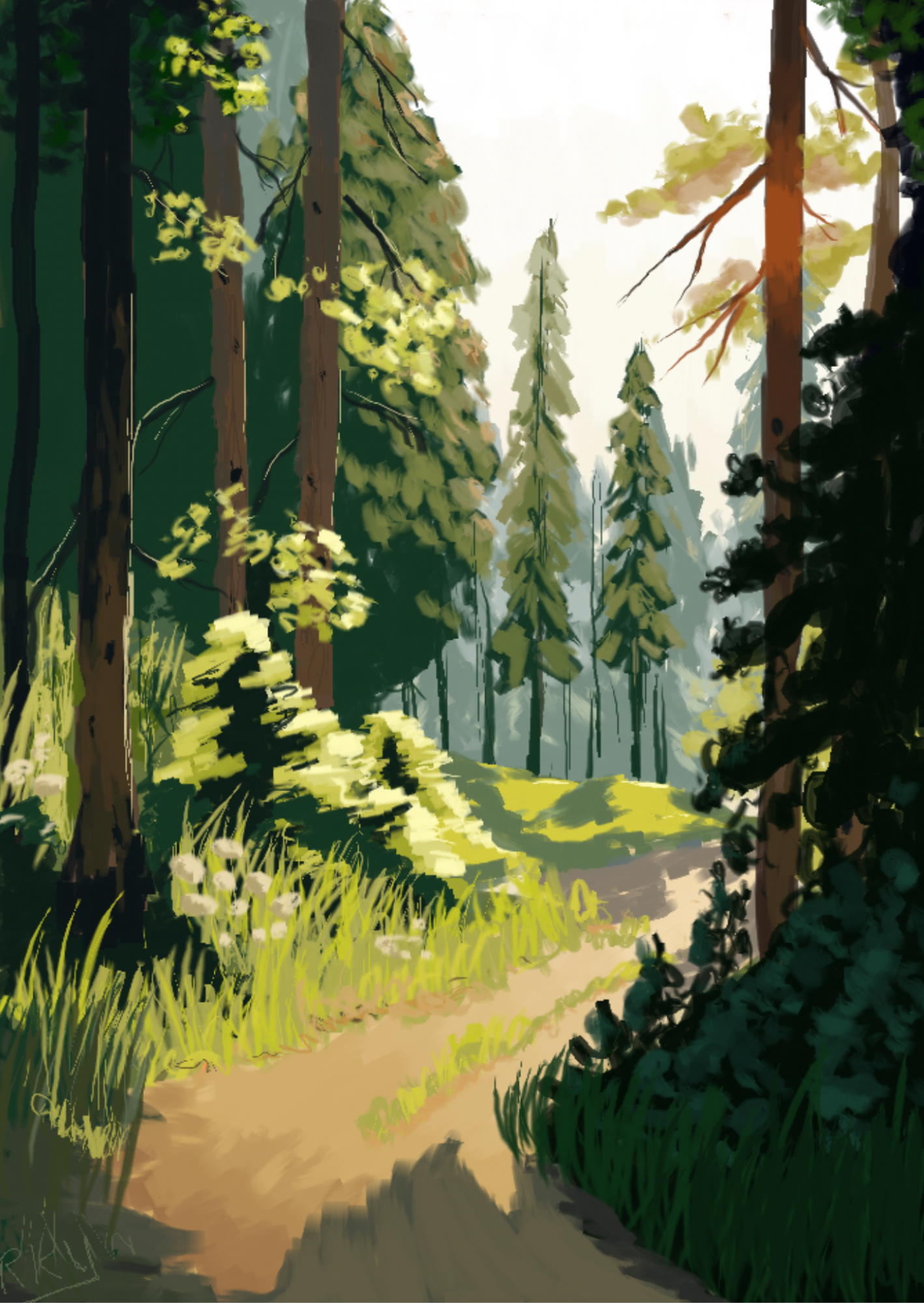 Into the Woods